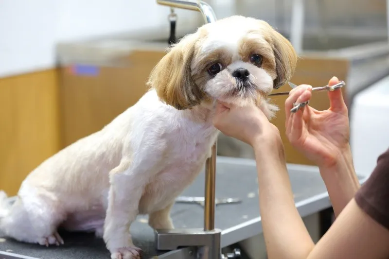 安心の明朗価格と丁寧な引き渡し対応