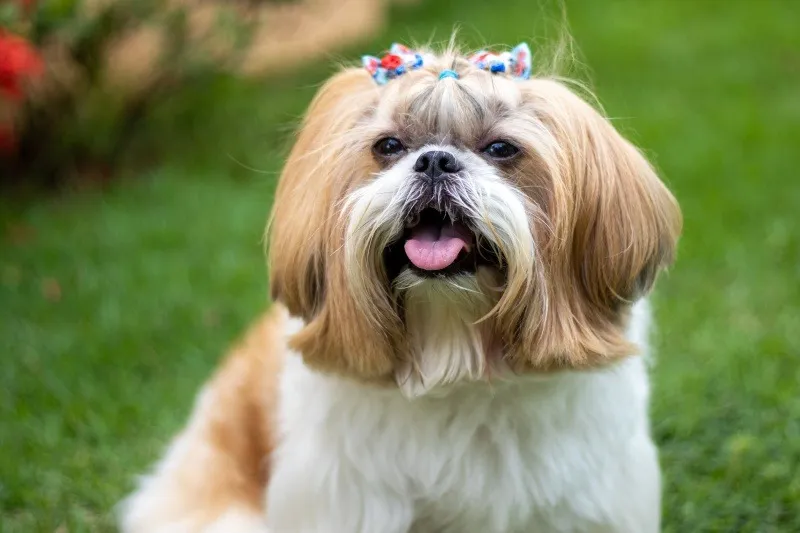 健やかな命を繋いでいく取り組み