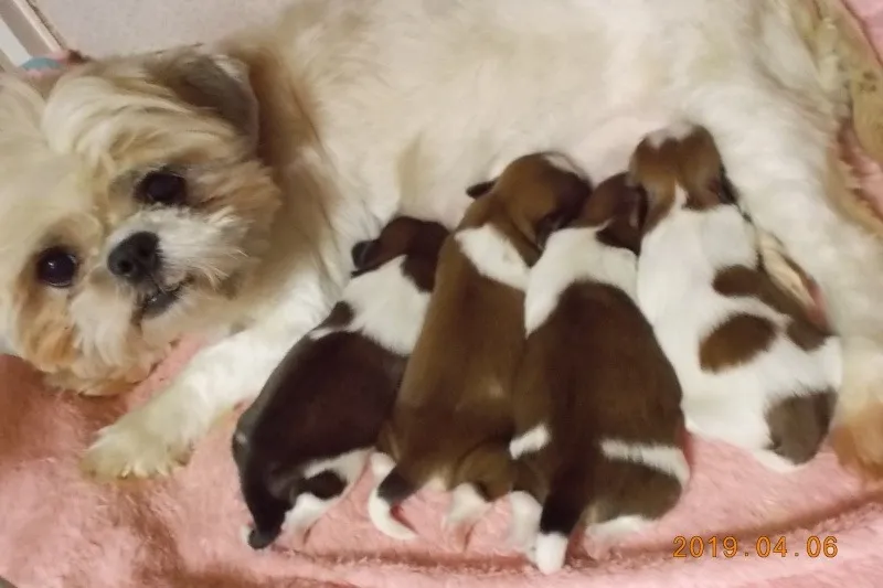 未来へ繋ぐために無理のない出産