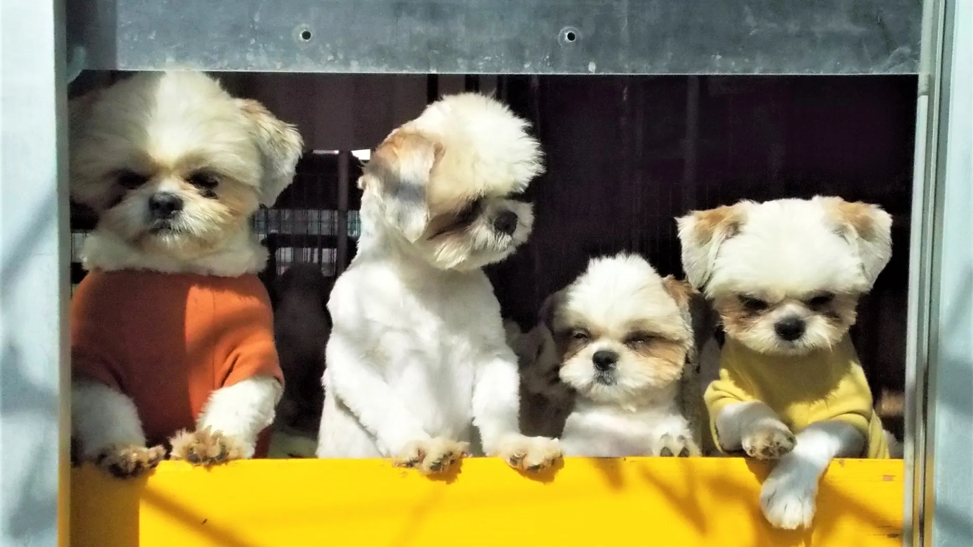 健やかで穏やかな繁殖計画の指針