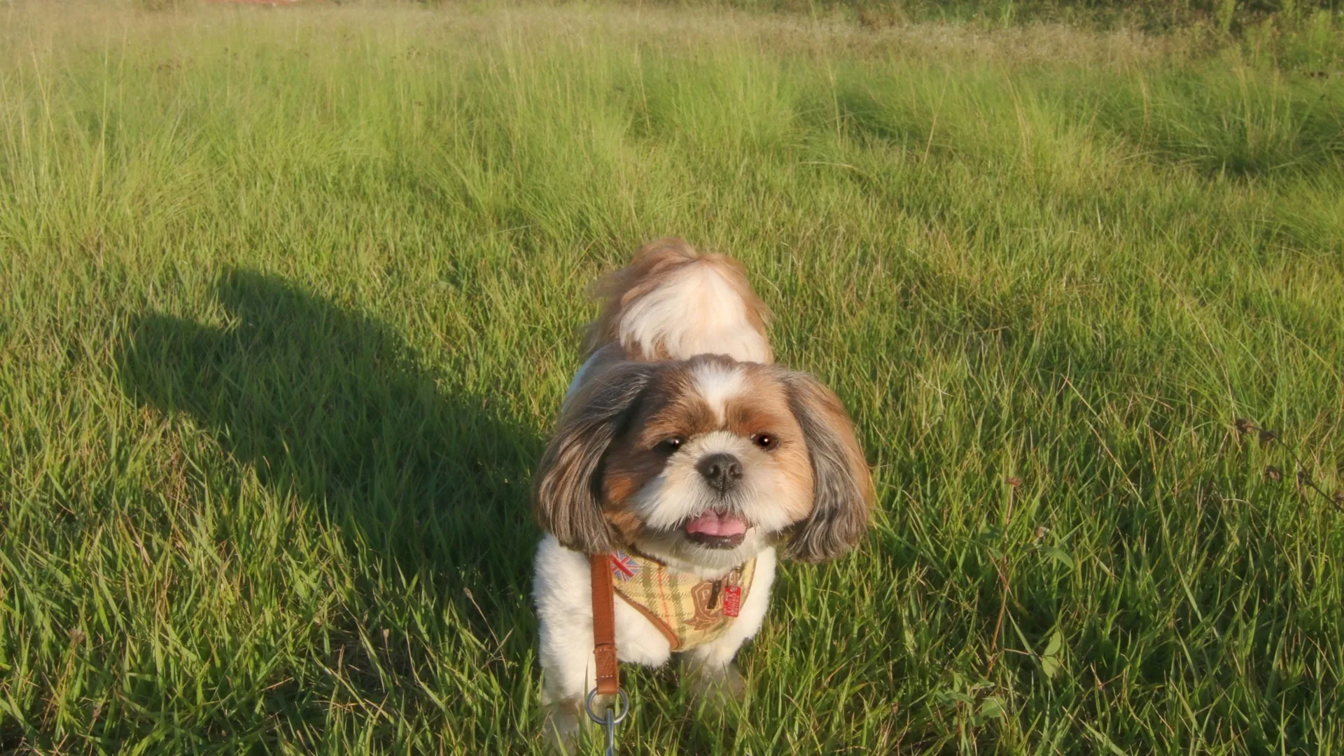 性質理解と暮らしの優しい配慮指針