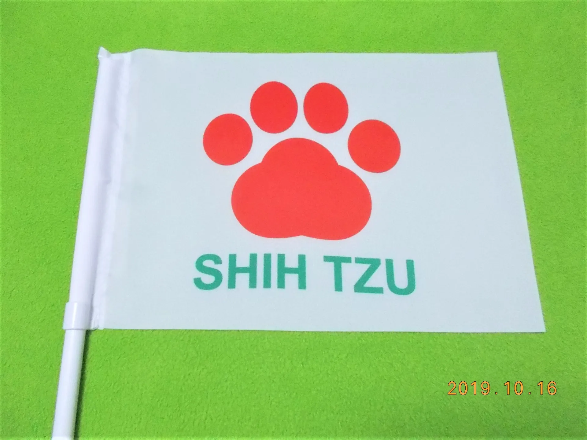 シーズーのブリーダーをお探しなら天使道場へ!