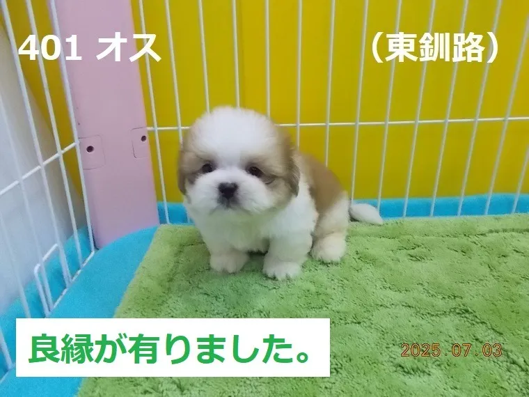 401 オス　東釧路（ひがしくしろ）