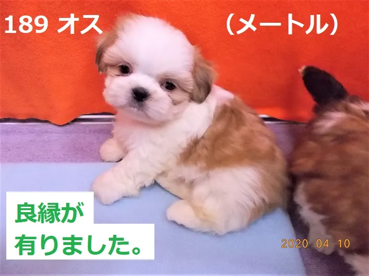 189 オス メートル