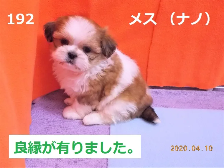 192 メス ナノ