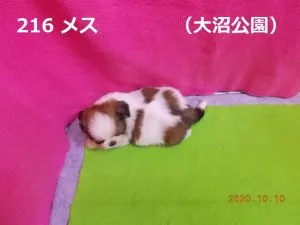 伏せ