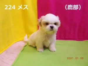 お座り