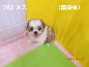 お座り