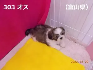 伏せ