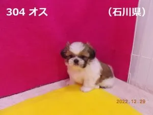 お座り