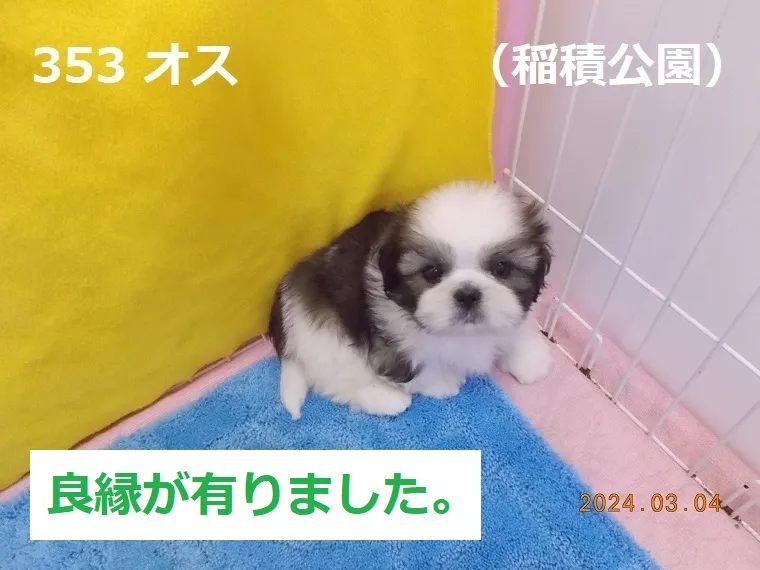 353 オス 稲積公園（いなづみこうえん）