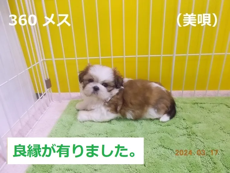 360 メス 美唄（びばい）