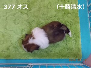 上