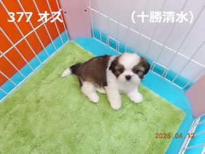 アイ