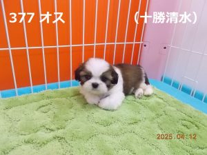 伏せ