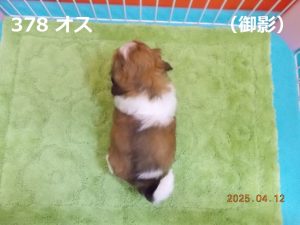 後ろ