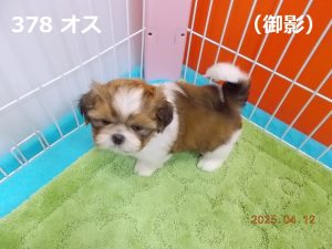 左