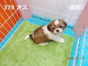アイ