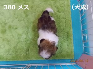 上