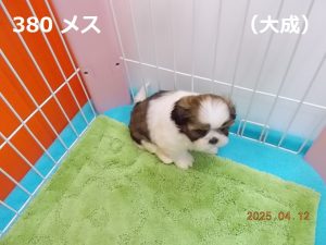 右