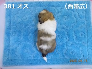 後ろ