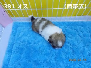 上前