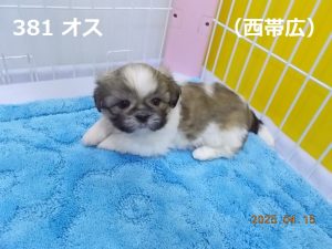 アイ