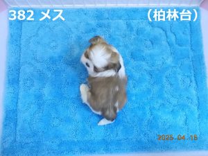 上後ろ