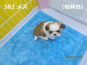 右
