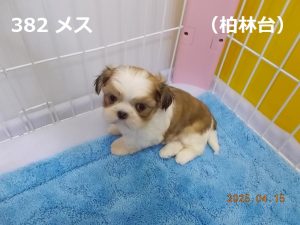 アイ