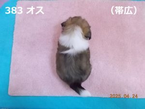 上