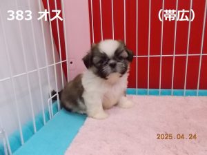 右