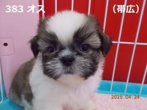 顔大