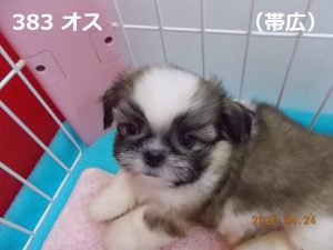 顔中