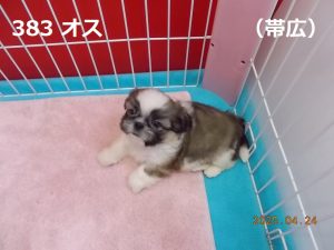 左
