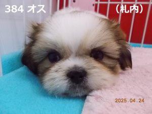 顔伏せ