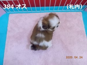 後ろ