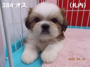 顔大