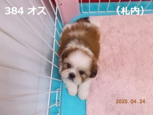 上