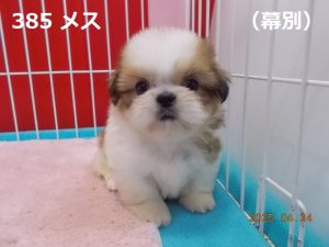 前