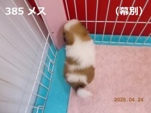 後ろ