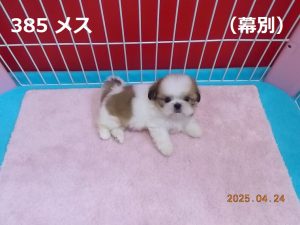 右