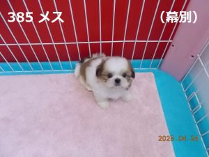前