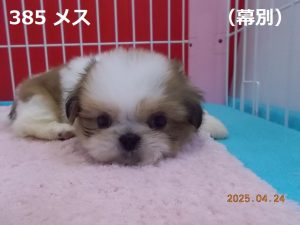 顔大