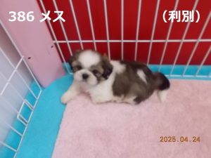 左