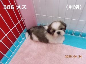アイ