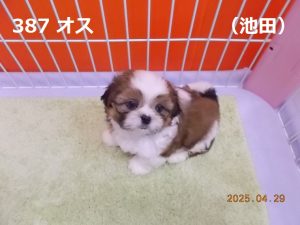 アイ