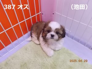 伏せ