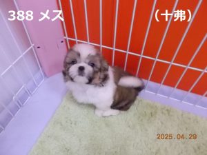 左