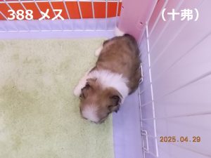 上